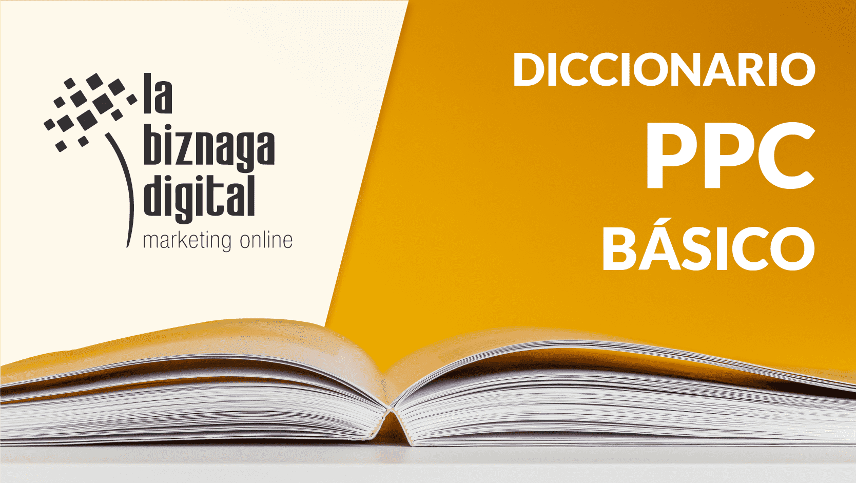 Diccionario PPC básico