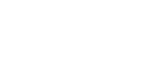 La Biznaga Digital - Logotipo blanco 225